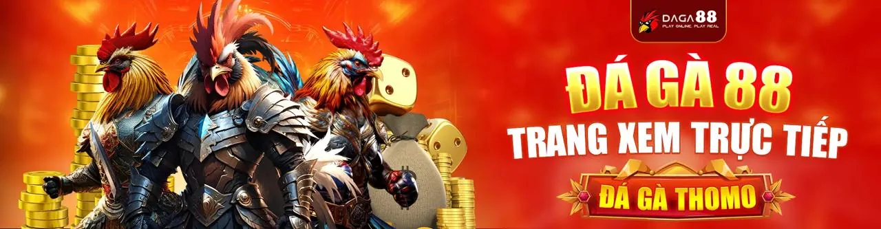 Đá gà trực tuyến sôi động tại bay365 casino