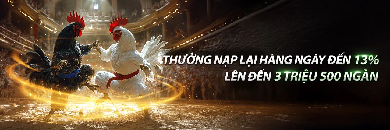 Sân vận động với ánh đèn rực rỡ và không khí sôi động của cá cược thể thao bay365 casino