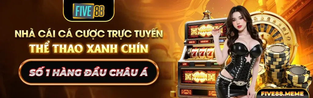 Trường đấu đá gà sôi động tại bay365 casino